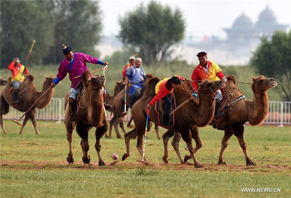 Athletes perform camel ball at ethnic minorities games