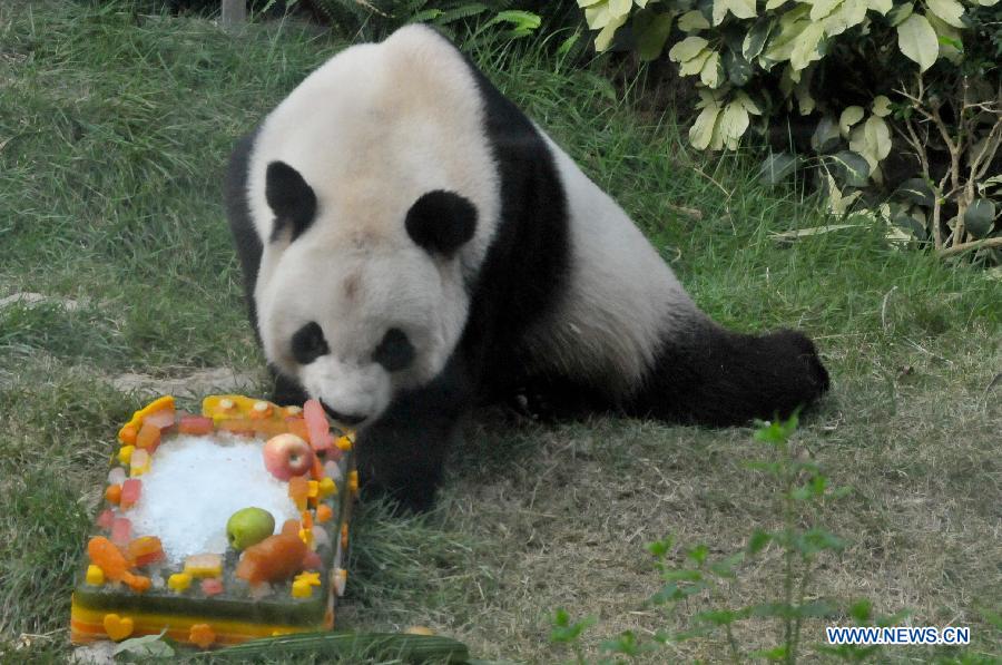 Children celebrate birthday of panda Kaikai in Macao