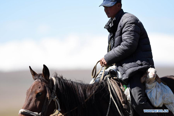 Herdsmen move herds into winter pastures in Xinjiang