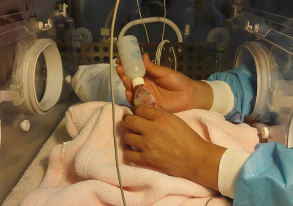 China's panda base welcomes sixth twins of the year
