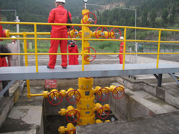 163 billion cubic meters of shale gas found in Sichuan