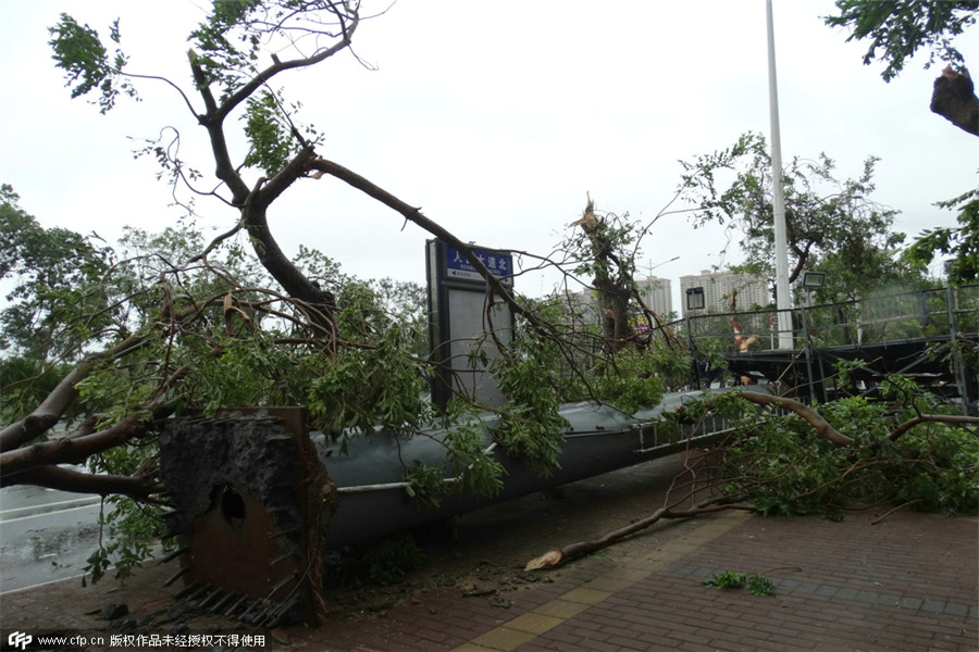 Typhoon Mujigae wreaks havoc in South China