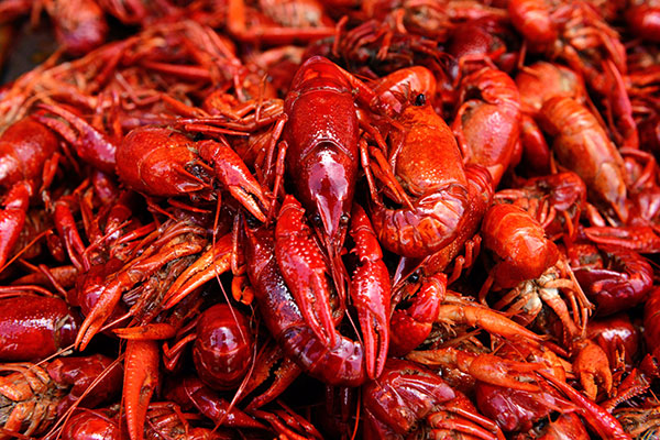 Could chili really be the spice of longer life?