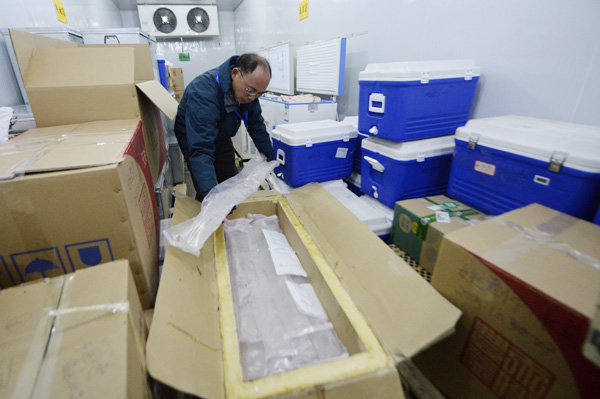New ice cores to tell climate tale