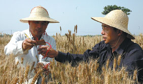 Governor touts Silk Road growth