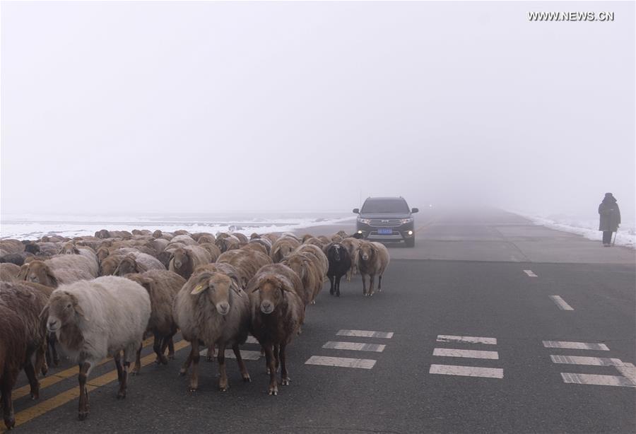 China's Urumqi issues yellow alert of heavy fog