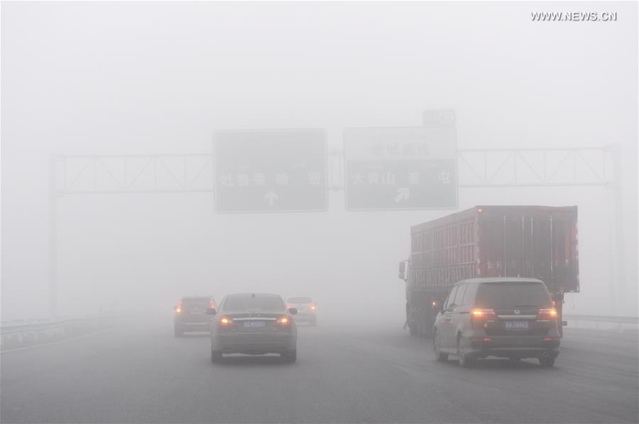 China's Urumqi issues yellow alert of heavy fog