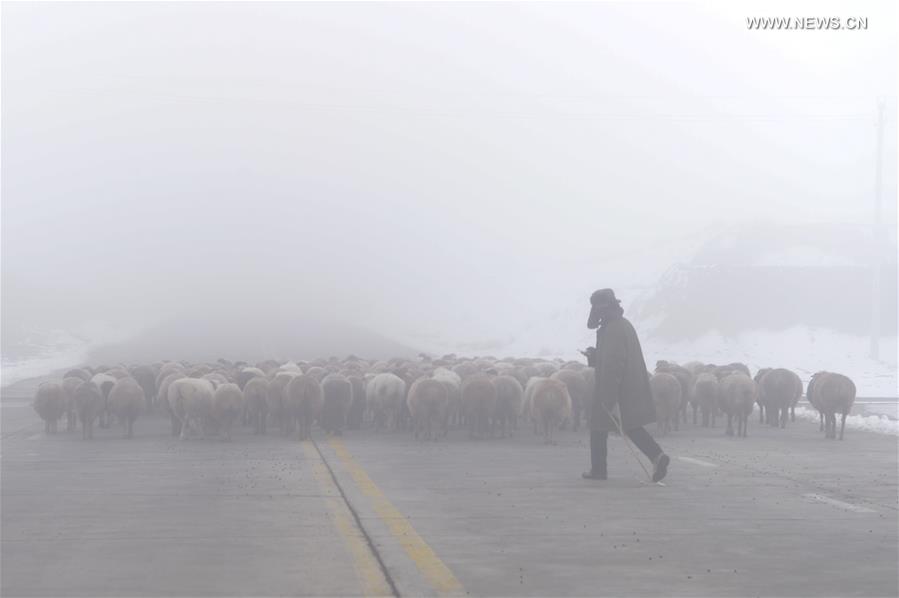 China's Urumqi issues yellow alert of heavy fog