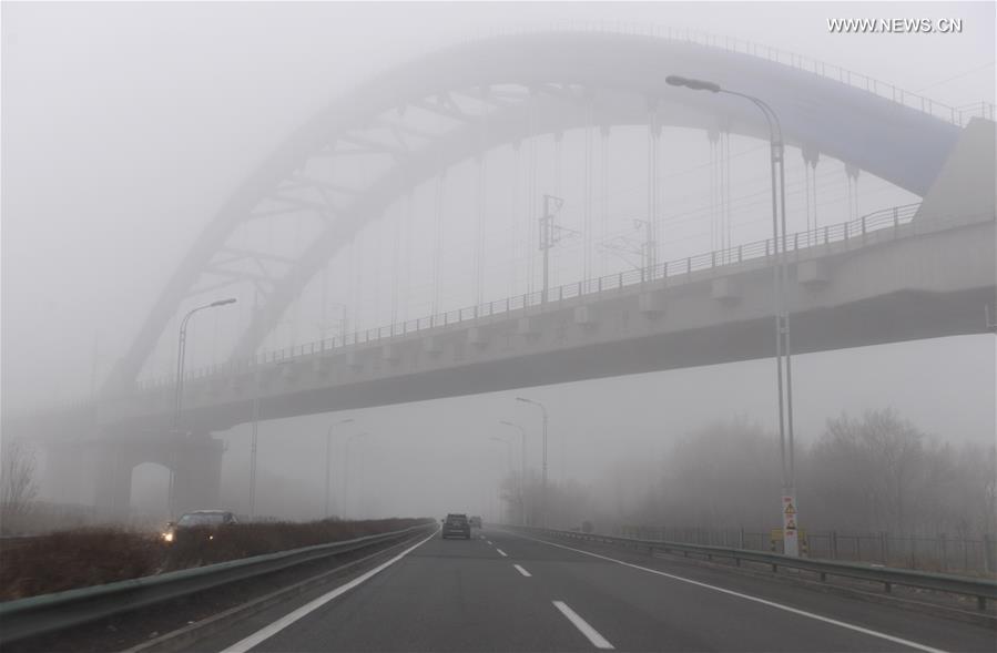 China's Urumqi issues yellow alert of heavy fog