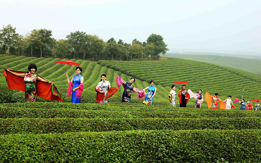 Female officials put on cheongsams to promote village