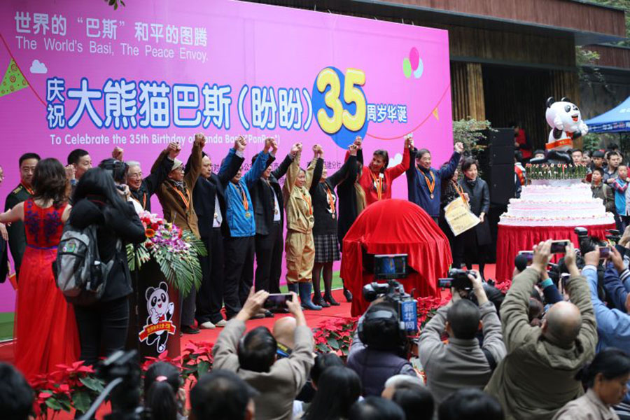 Giant panda Basi celebrates 35th birthday