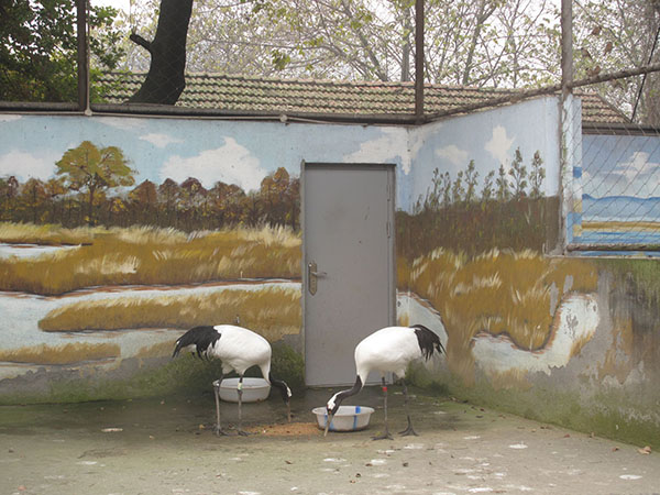 Paintings on den walls appeal to zoo visitors