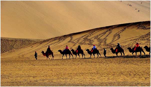 China's proposals on international cooperation