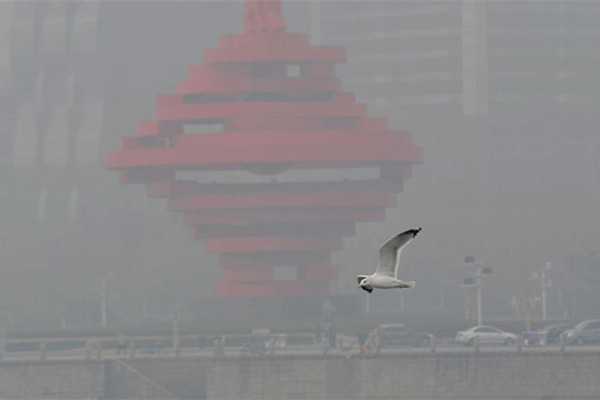 Double money aims to clean up Shandong's air