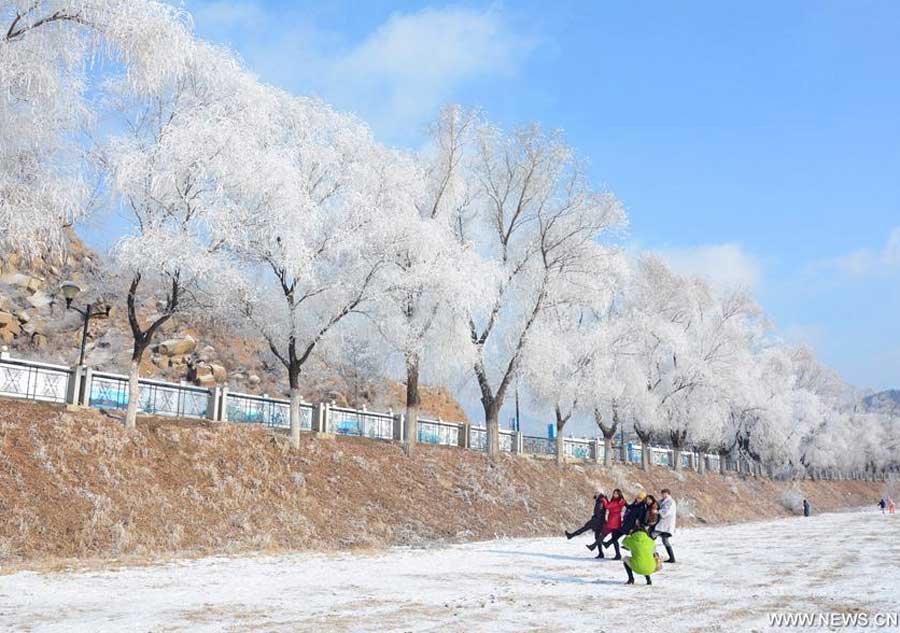 Rime scenery seen in NE China's Jilin