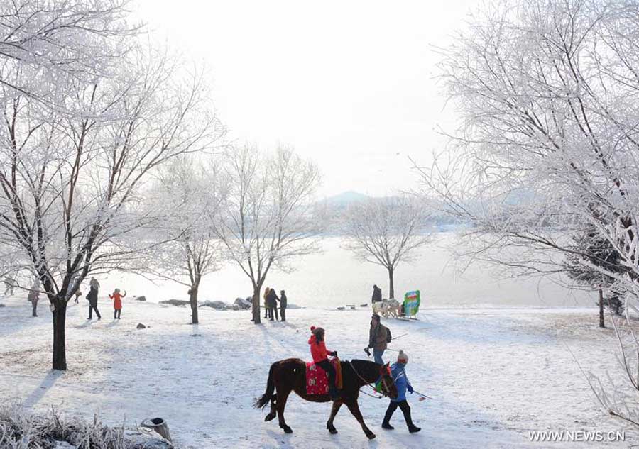 Rime scenery seen in NE China's Jilin