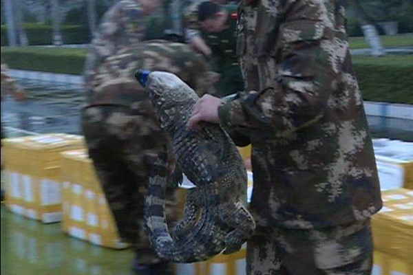 Police seize 158 crocodiles at China-Vietnam border