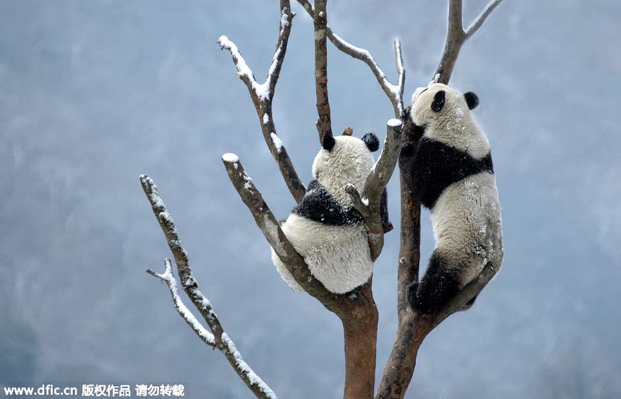 Ten photos of the week from around China