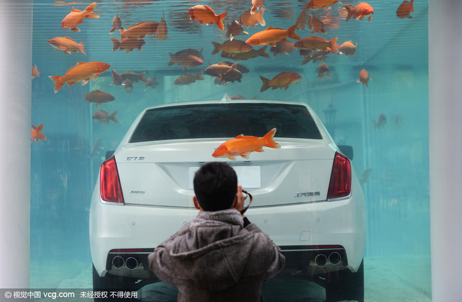 Fancy car debuts inside fish tank