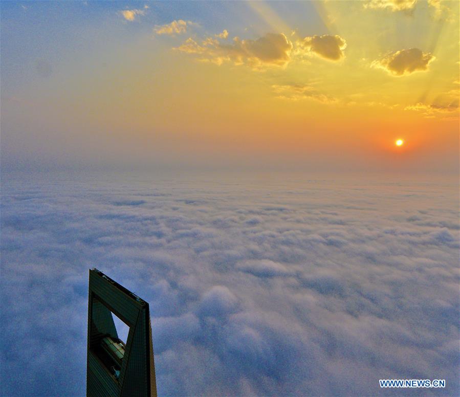 Rising above the clouds: Shanghai's landmark skyscrapers