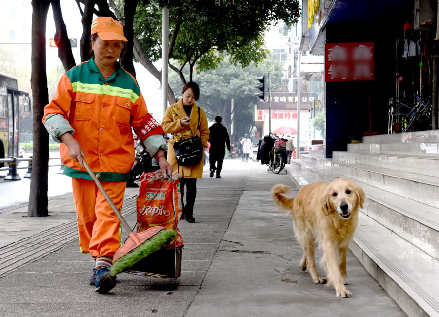 Chengdu's sanitation worker and her dog