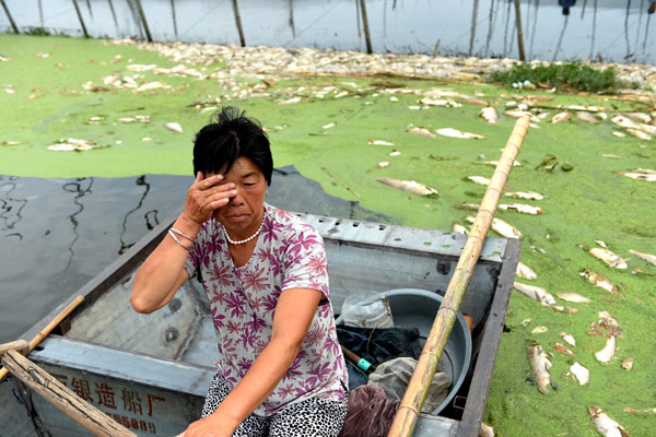 China vows to root out soil pollution