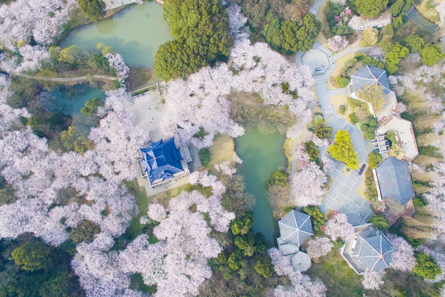 Discover beautiful China in spring blossom (I)