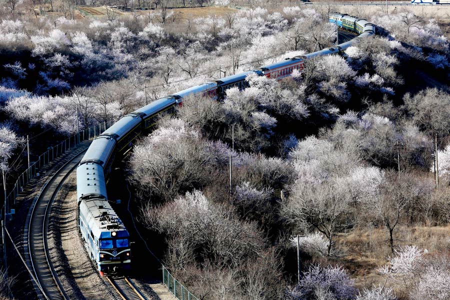 Discover beautiful China in spring blossom (Ⅲ)