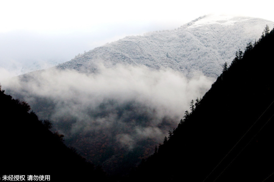 Discover beautiful China in spring blossom (Ⅲ)