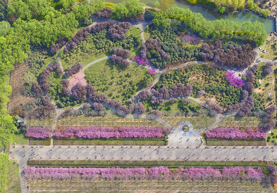 Discover beautiful China in spring blossom (V)