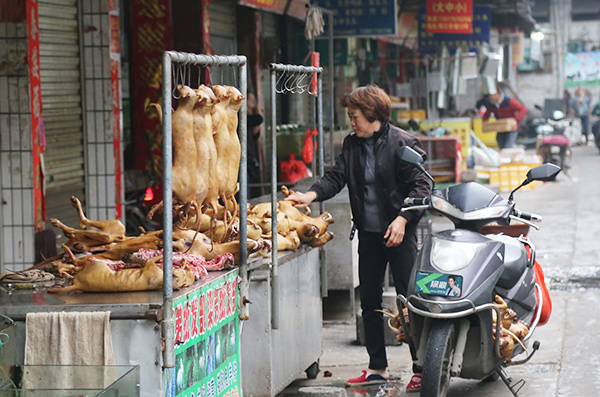 Campaigners renew calls to ban Yulin dog meat festival