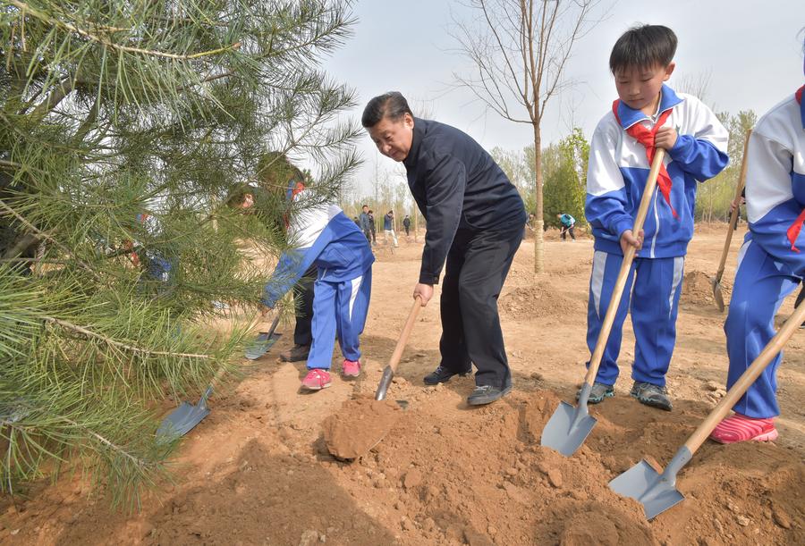 Top Chinese leaders attend voluntary tree-planting in Beijing