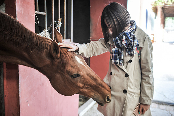 Equestrianism gains currency in China