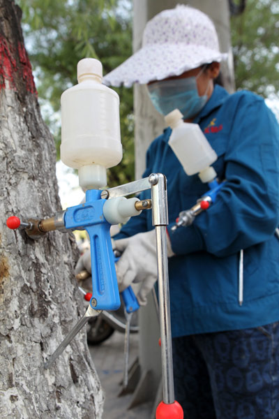 Fighting catkins with chemicals