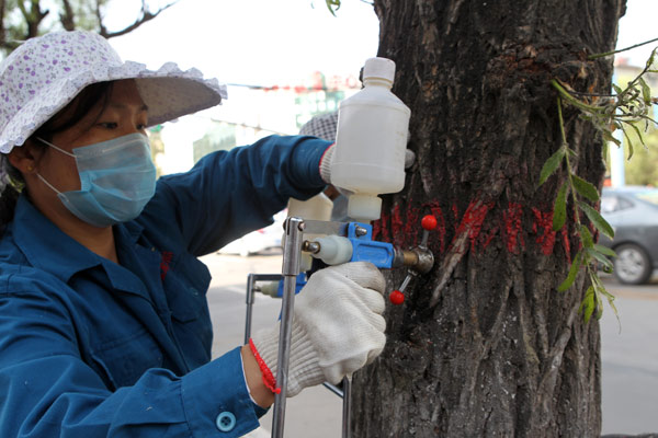 Fighting catkins with chemicals