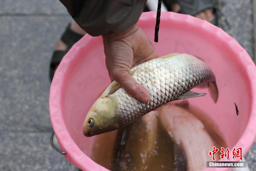 Residents net fish on flooded road in C China