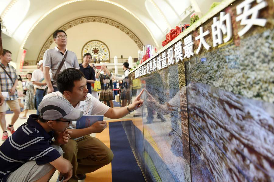 People visit China's sci-tech innovation exhibition in Beijing