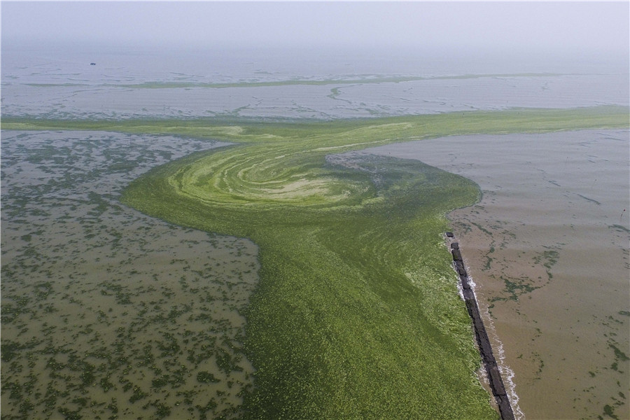 Green 'waves' hit E China, causing disruptions