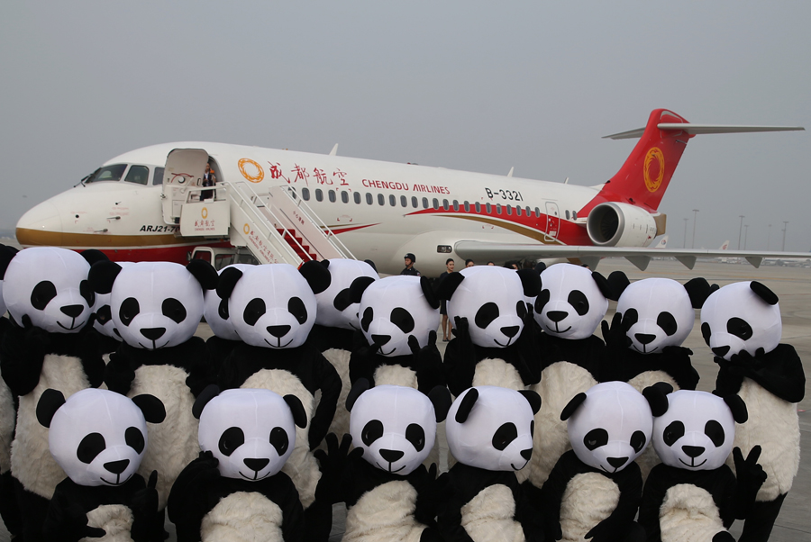 Made-in-China regional jet starts commercial operation