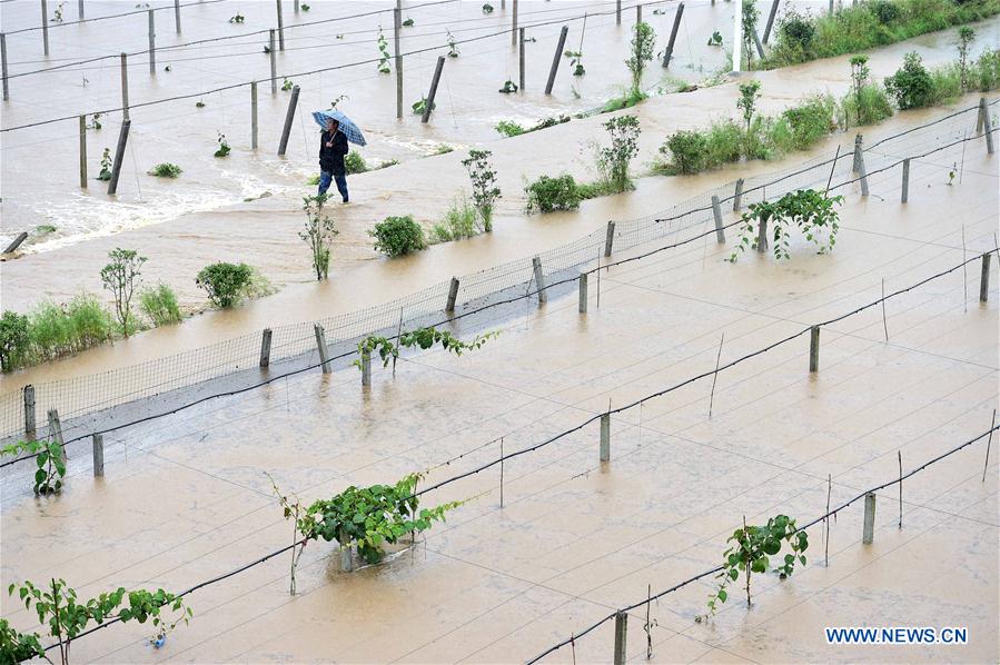 14 dead amid heavy rain across China