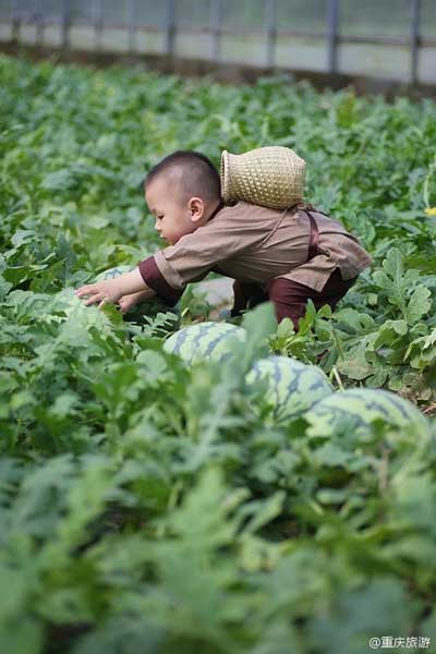 Cute watermelon baby goes viral