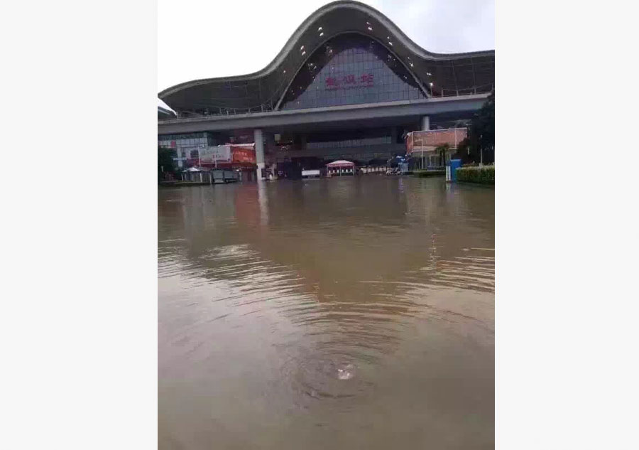 Waterlogging paralyzes Chinese metropolis on Yangtze