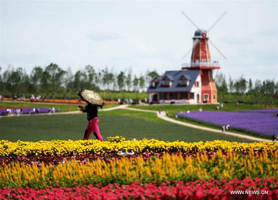 Lavender field attracts visitors in NE China