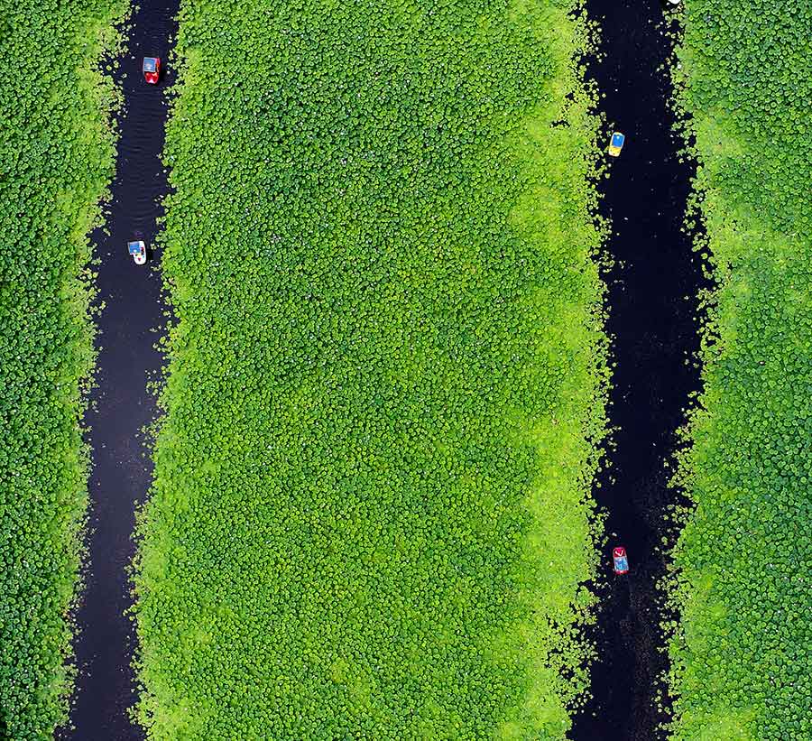 Stunning aerial views of a serene lotus lake