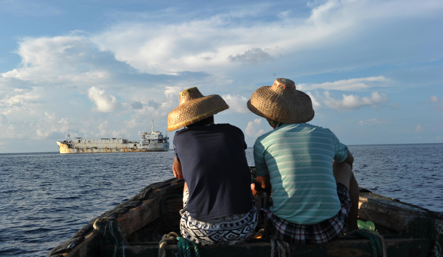 Commercial fish cultured at farm in Meiji Reef of South China Sea