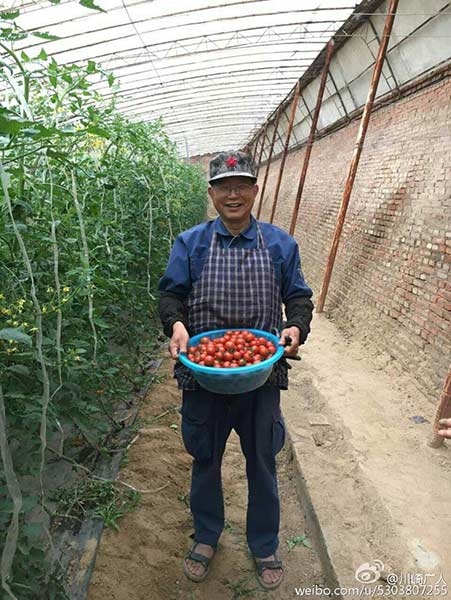 Solitary Japanese farmer devoted to Chinese agriculture