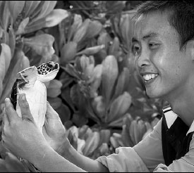 Big effort saving small turtles in Sansha