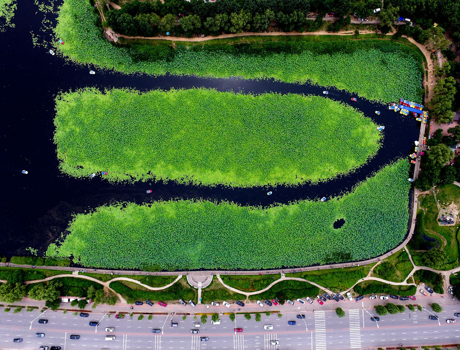 Ten photos from around China: July 15 – 21