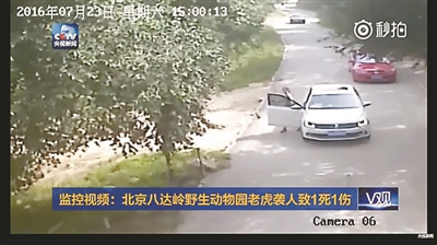 Woman mauled to death by tiger in Beijing animal park