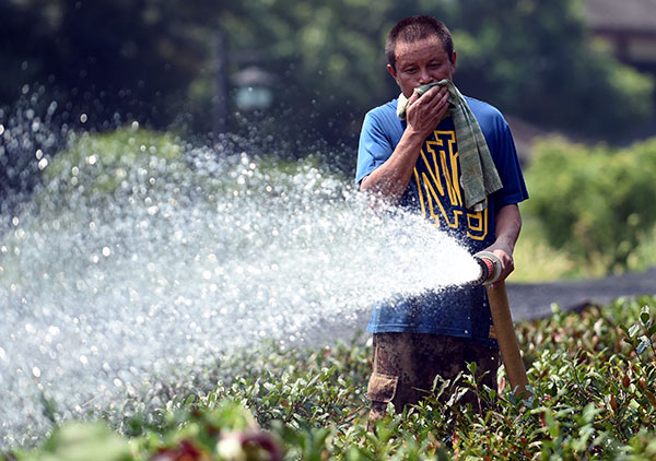 Precautions taken for worker safety as heat wave continues